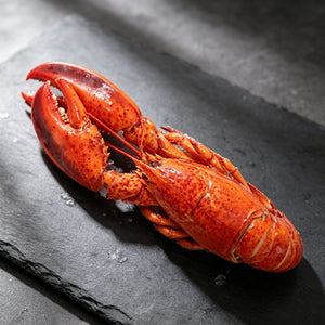 Cooked Frozen Boston Lobster 450g