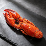 Cooked Frozen Boston Lobster 450g