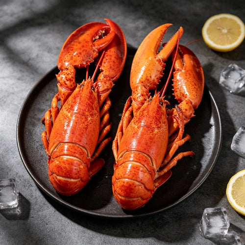 Cooked Frozen Boston Lobster 450g