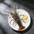 Raw Frozen Spiny Lobster 500g