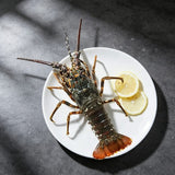 Raw Frozen Spiny Lobster 500g
