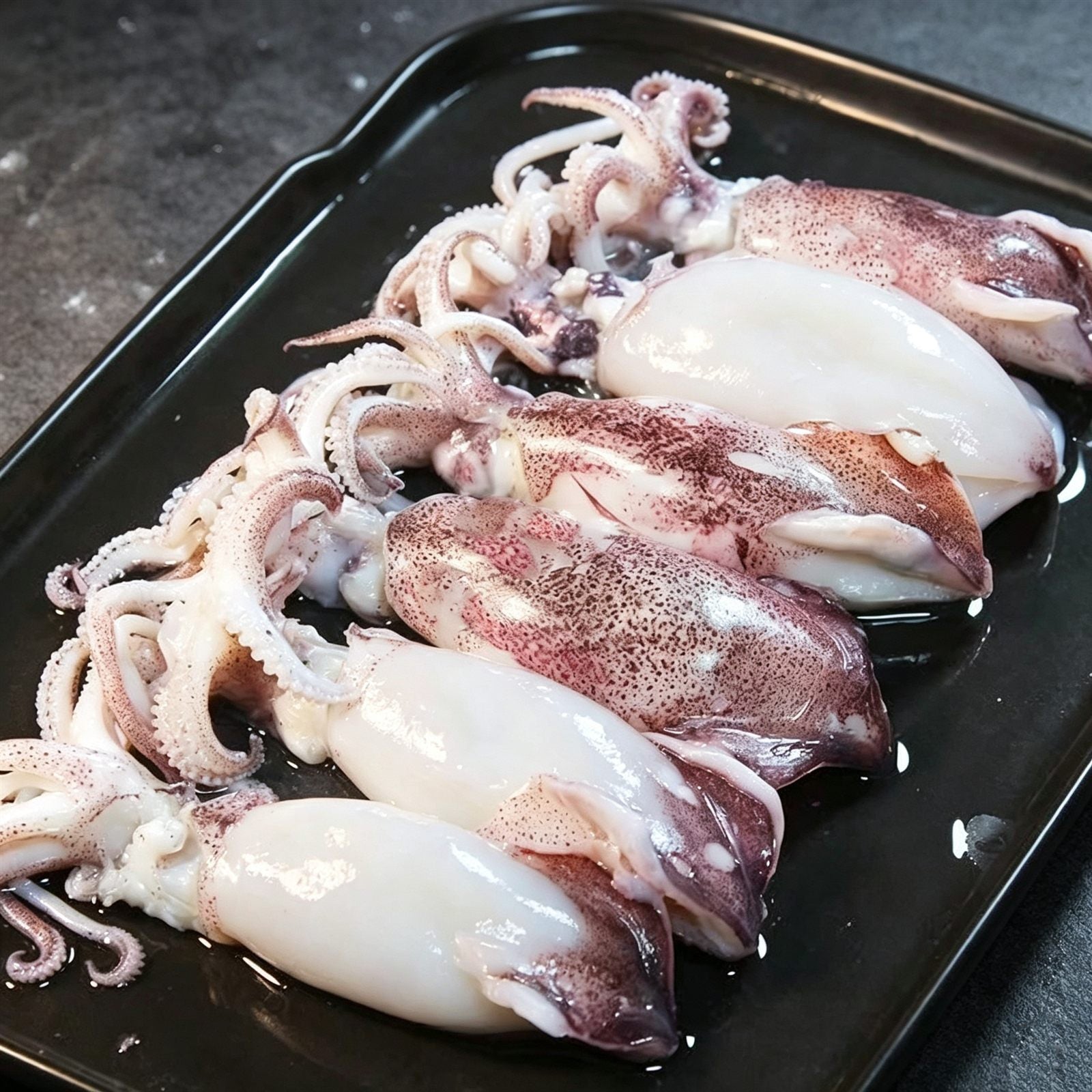 Frozen Baby Squid 1000g