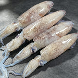 Frozen Baby Squid 1000g