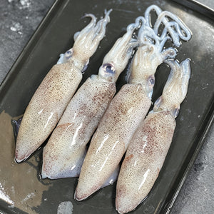 Frozen Baby Squid 1000g