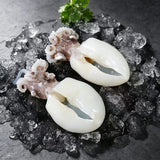 Fresh Frozen Baby Cuttlefish 1000g
